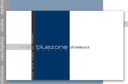 Diseño y desarrollo del sitio web de Bluezone