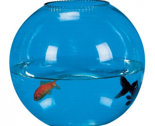 PECERA 20 CM