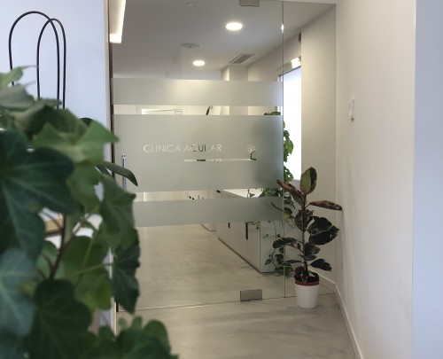 Puerta de vidrio apertura pivotante