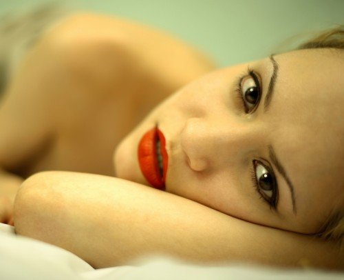 Sed vel ipsum