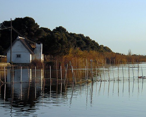 El Palmar