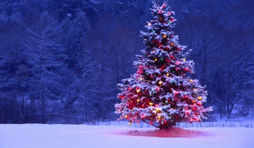 Menú empresas Navidad