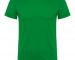 camiseta-beagle-verde-kelly.jpg