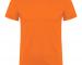 camiseta-beagle-naranja.jpg