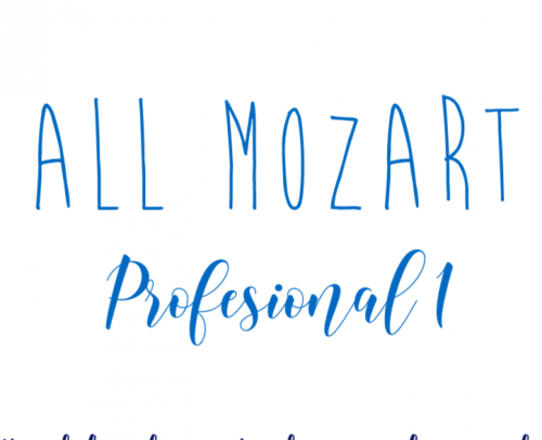 LIBRO PROFESIONAL 1