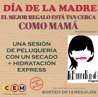 Una sesión de peluquería con un secado + hidratación express