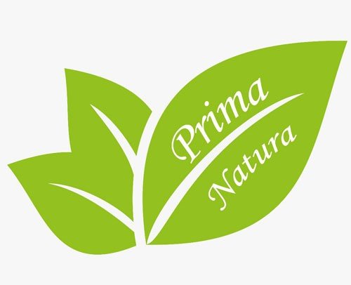Visita nuestras web