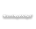 JuanMurguiGandia