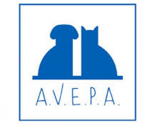 asociación de veterinarios especialistas en pequeños animales