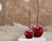 porcelain_cherry_bord_01.jpg