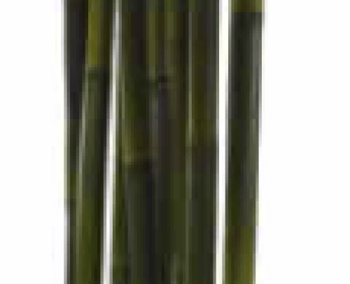 Parabán Bamboo Awi, 100X30Xh.250cm
