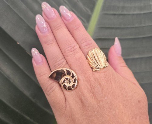 Anillo Concha