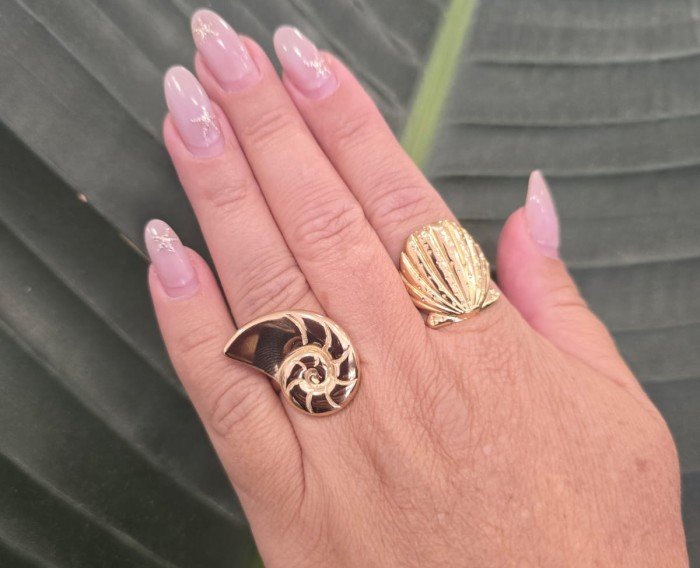 Anillo Concha