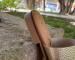 img_6040.jpeg