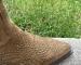img_9558.jpeg