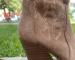 img_9951.jpeg