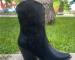 img_9954.jpeg