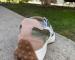 img_0182.jpeg
