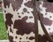 img_0433.jpeg