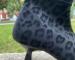 img_0837.jpeg