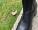 img_1212.jpeg
