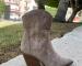 img_1461.jpeg