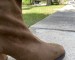img_1638.jpeg