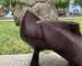 img_2043.jpeg