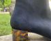 img_2116.jpeg