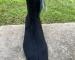 img_2118.jpeg
