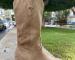 img_2169.jpeg