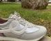 img_2379.jpeg
