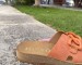img_0721.jpeg