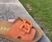 img_0722.jpeg