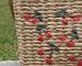 img_1739.jpeg