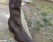 img_2390.jpeg