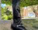 img_2399.jpeg