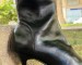 img_2400.jpeg