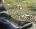 img_2401.jpeg