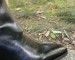 img_2401.jpeg