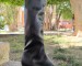 img_2408.jpeg
