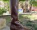 img_2411.jpeg
