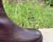 img_3342.jpeg