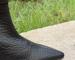 img_3321.jpeg