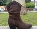 img_4866.jpeg