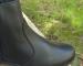 img_5224.jpeg