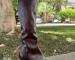 img_5646.jpeg