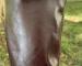 img_5650.jpeg