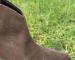 img_6001.jpeg