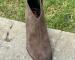 img_6002.jpeg